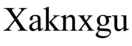 XAKNXGU